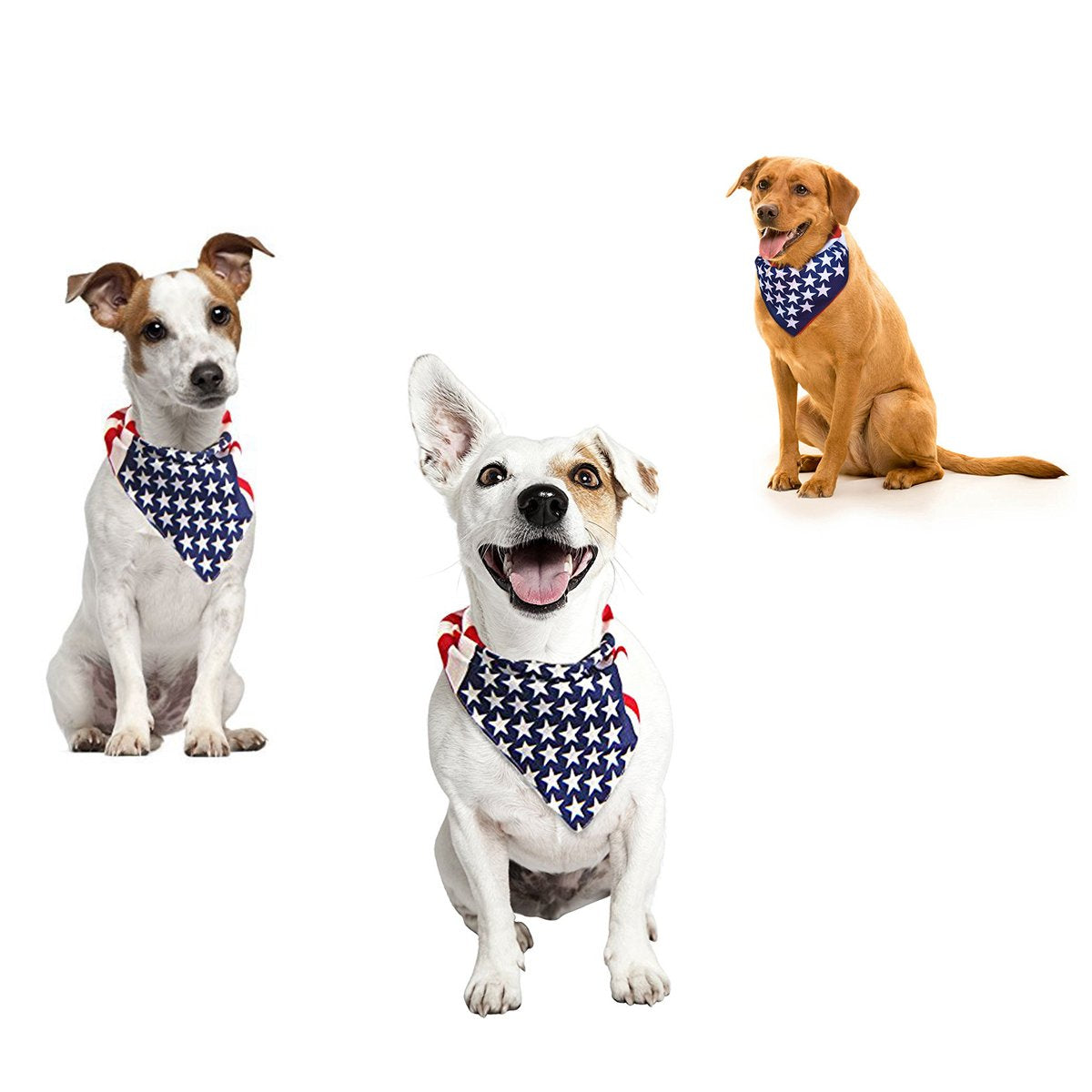 xsby 12 Piece Novelty Bandanas Paisley 100% Cotton Headwear