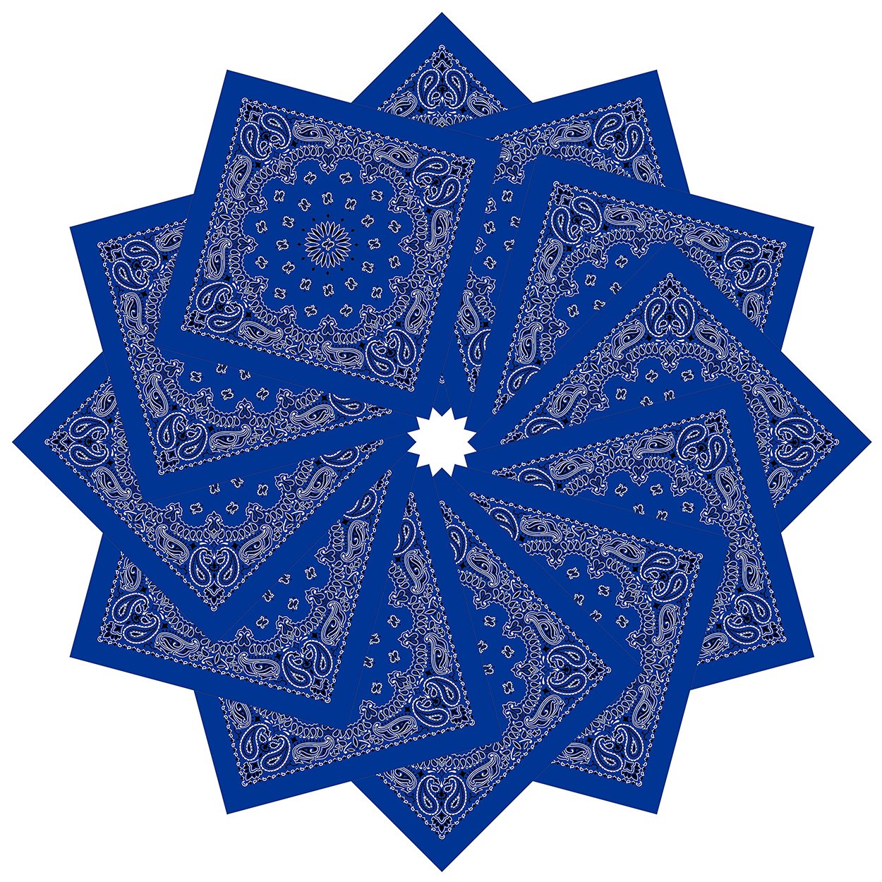 xsby 12 Piece Novelty Bandanas Paisley 100% Cotton Headwear