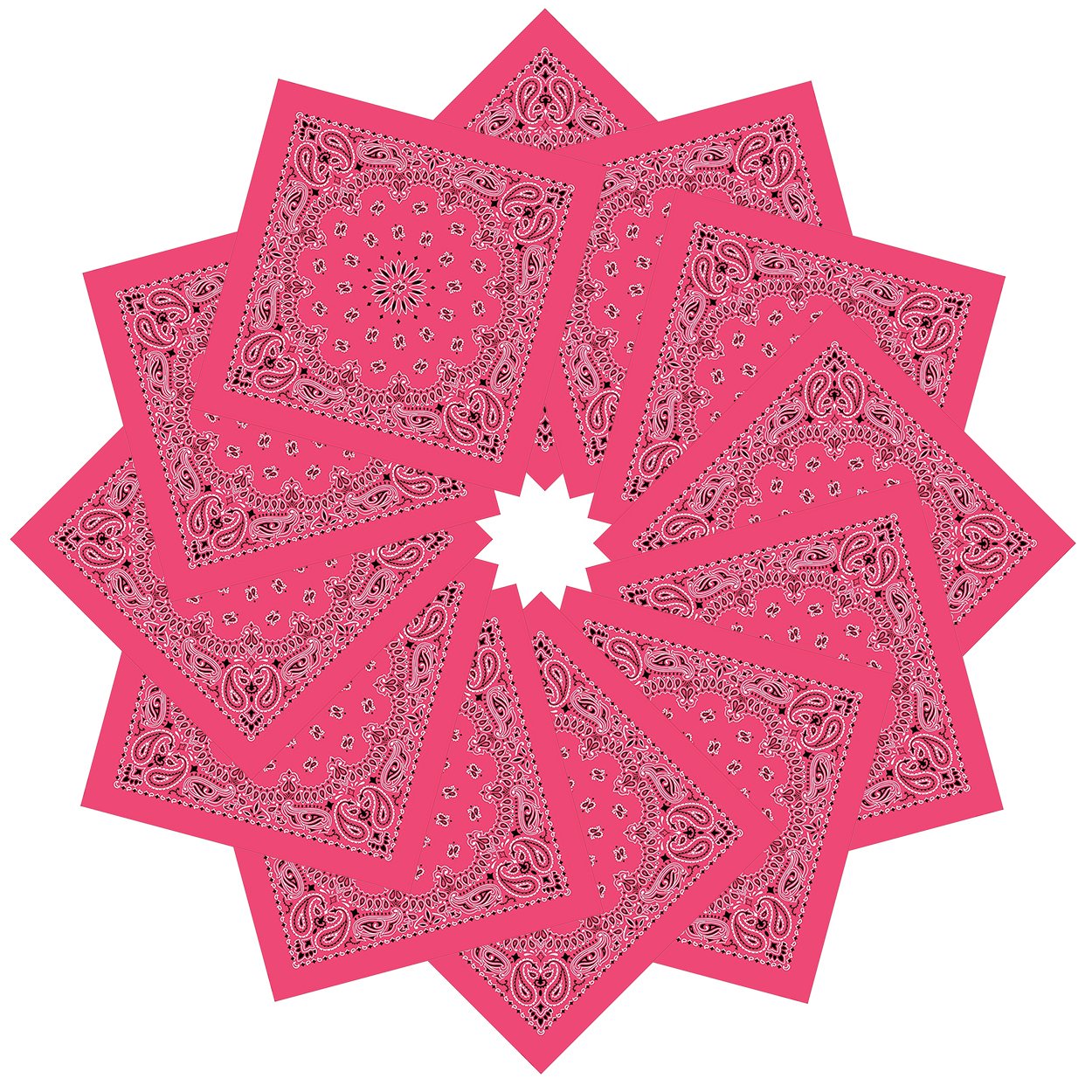 xsby 12 Piece Novelty Bandanas Paisley 100% Cotton Headwear