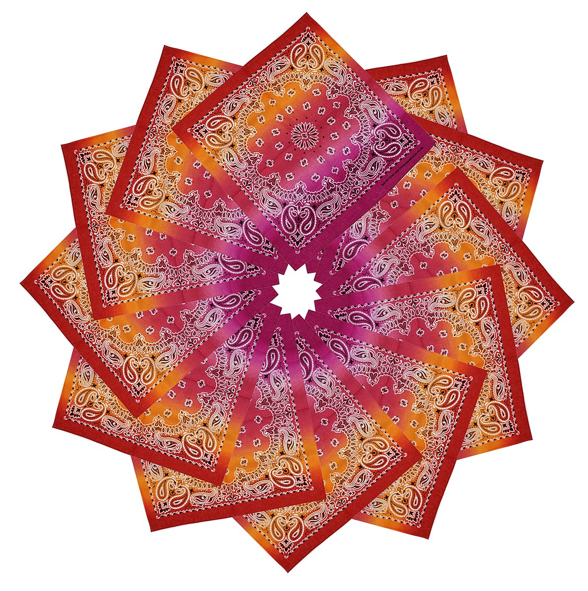 xsby 12 Piece Novelty Bandanas Paisley 100% Cotton Headwear